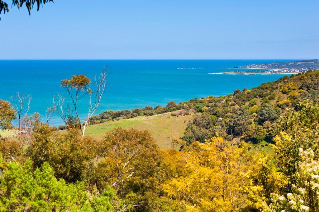 Beacon Point Ocean View Villas Skenes Creek Zewnętrze zdjęcie