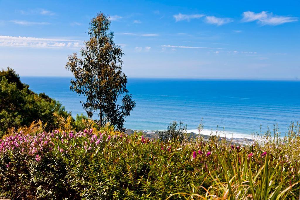 Beacon Point Ocean View Villas Skenes Creek Zewnętrze zdjęcie