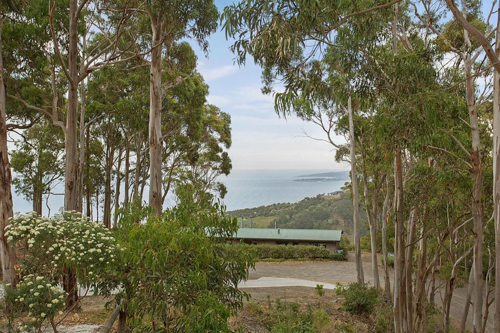 Beacon Point Ocean View Villas Skenes Creek Zewnętrze zdjęcie